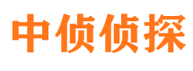 柳林侦探社